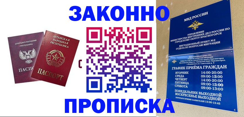 прописка в Камчатском крае
